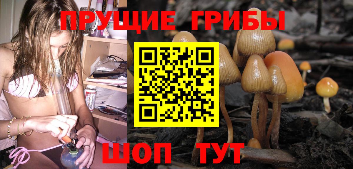 Псилоцибиновые грибы мицелий Юрга
